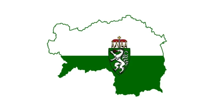 Umriss der Steiermark und Landesfahne